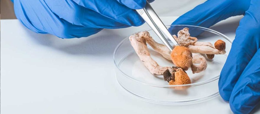 The role of the psychedelic experience in psilocybin treatment