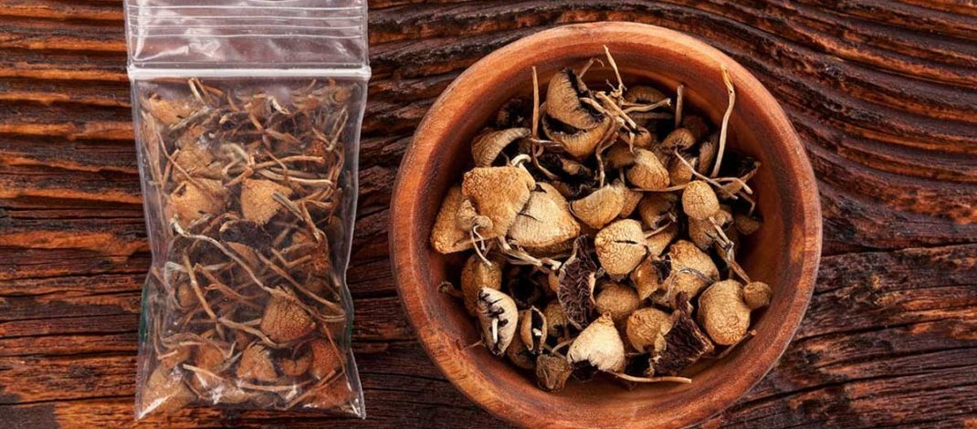 Psilocybin dan Adiksi (Seri 3)