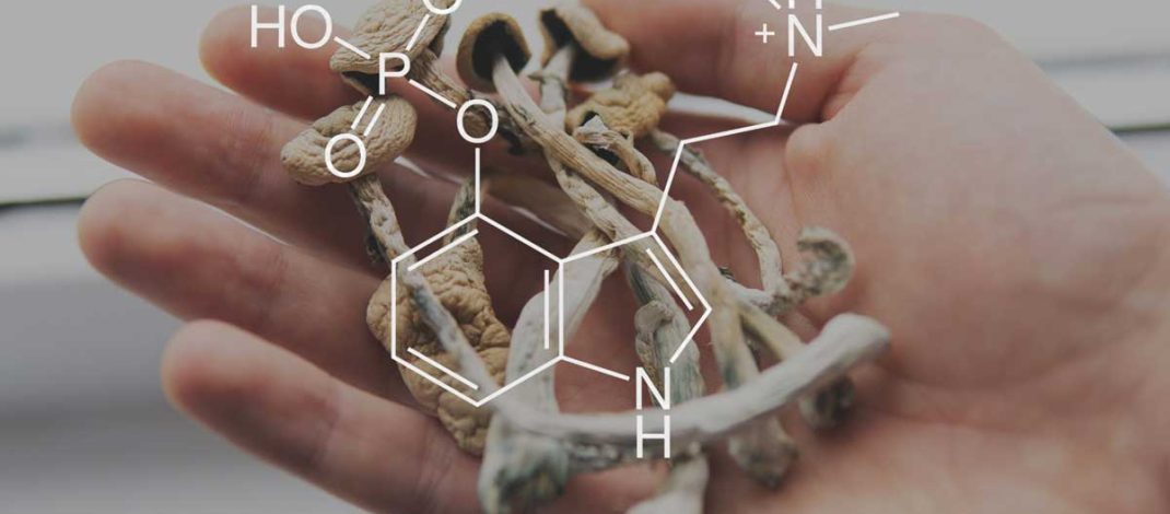 The Emergence of Psilocybin in Psychiatry and Neuroscience
