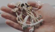 The Emergence of Psilocybin in Psychiatry and Neuroscience