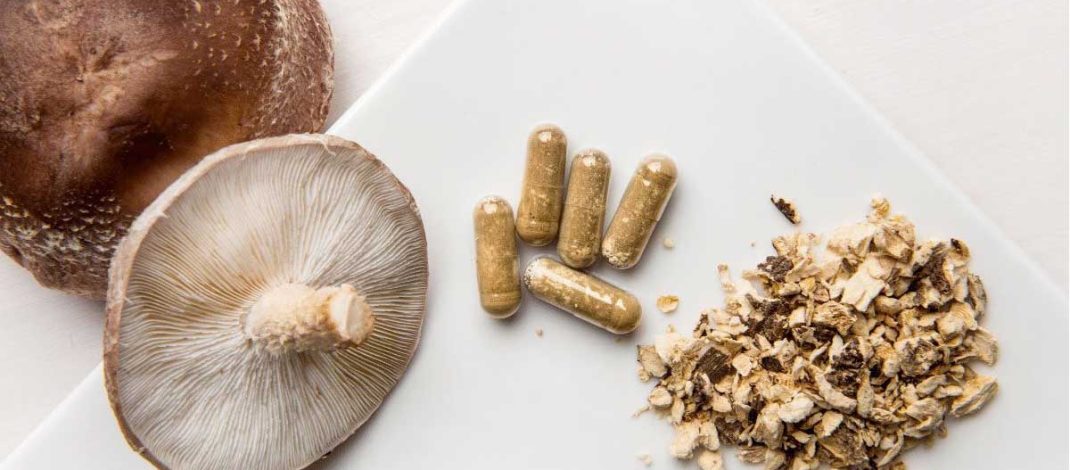 Psilocybin Sebagai Obat (Seri 5)