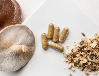 Psilocybin Sebagai Obat (Seri 5)