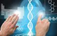Polygenic Scores for Autis