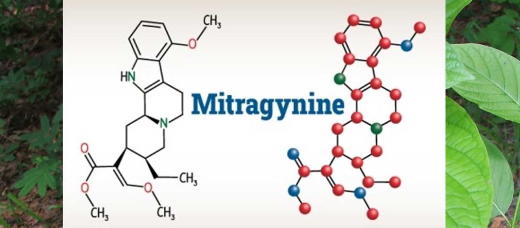 Penelitian NIH mengenai pengobatan eksperimental untuk gangguan penggunaan opioid