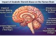 Steroid Anabolik dan Appearance and Performance Enhancing Drugs (APEDs) Lainnya (Seri 7: Cara kerja steroid anabolik di otak & adiksi steroid)
