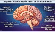 Steroid Anabolik dan Appearance and Performance Enhancing Drugs (APEDs) Lainnya (Seri 7: Cara kerja steroid anabolik di otak & adiksi steroid)