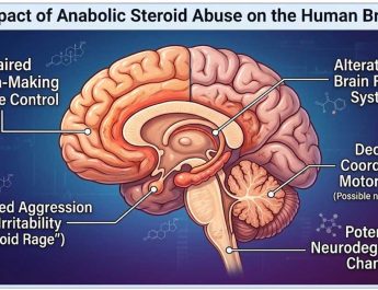 Steroid Anabolik dan Appearance and Performance Enhancing Drugs (APEDs) Lainnya (Seri 7: Cara kerja steroid anabolik di otak & adiksi steroid)
