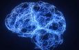 Patterns of Brain-wide Associations Reflect Socioeconomics