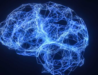 Patterns of Brain-wide Associations Reflect Socioeconomics