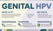 Infeksi Menular Seksual Seri 6 : HPV Genital