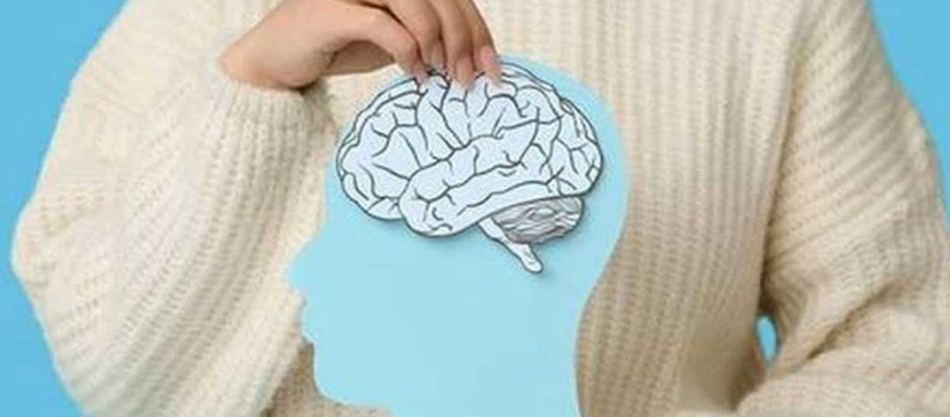 Pubertal Hormones and the Early Adolescent Female Brain: A Multimodality Brain MRI Study
