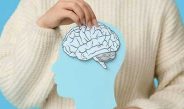 Pubertal Hormones and the Early Adolescent Female Brain: A Multimodality Brain MRI Study