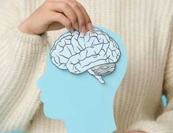 Pubertal Hormones and the Early Adolescent Female Brain: A Multimodality Brain MRI Study